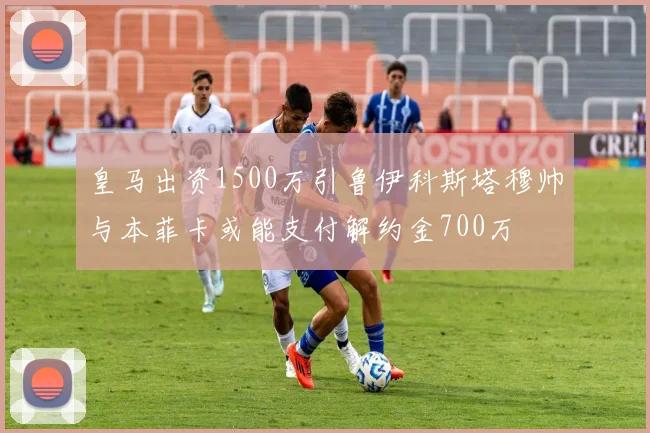 皇马出资1500万引鲁伊科斯塔穆帅与本菲卡或能支付解约金700万