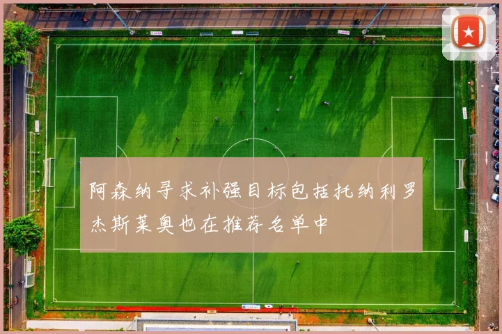 阿森纳寻求补强目标包括托纳利罗杰斯莱奥也在推荐名单中