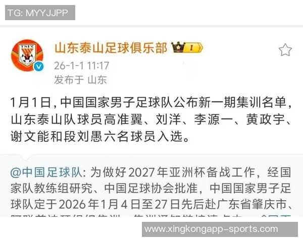 鲁媒分析泰山队新赛季目标年轻化进程将成关键任务之一